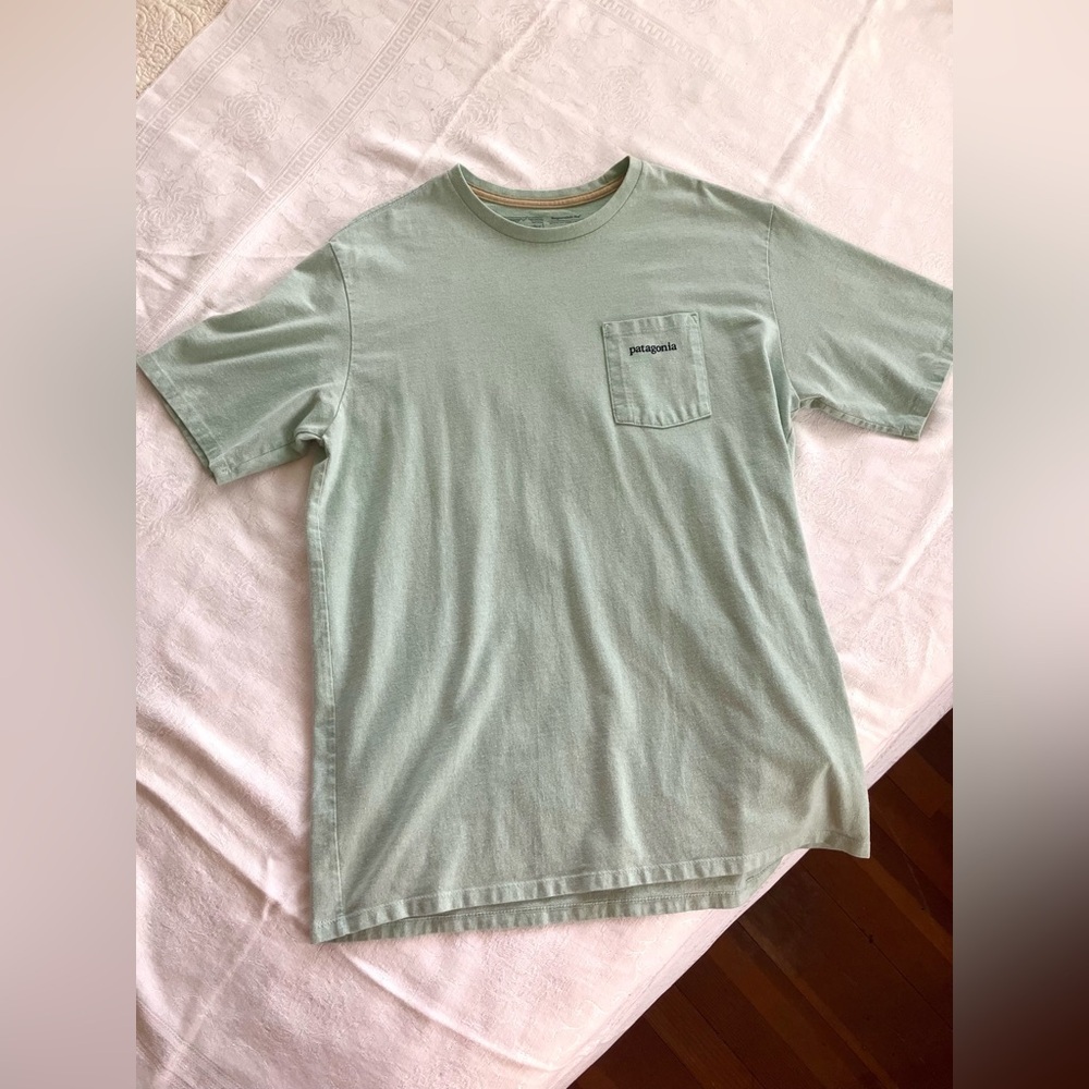 Patagonia pocket tee in mint/seafoam